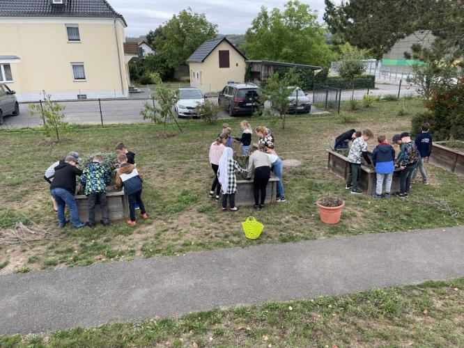 schulgarten.jpg