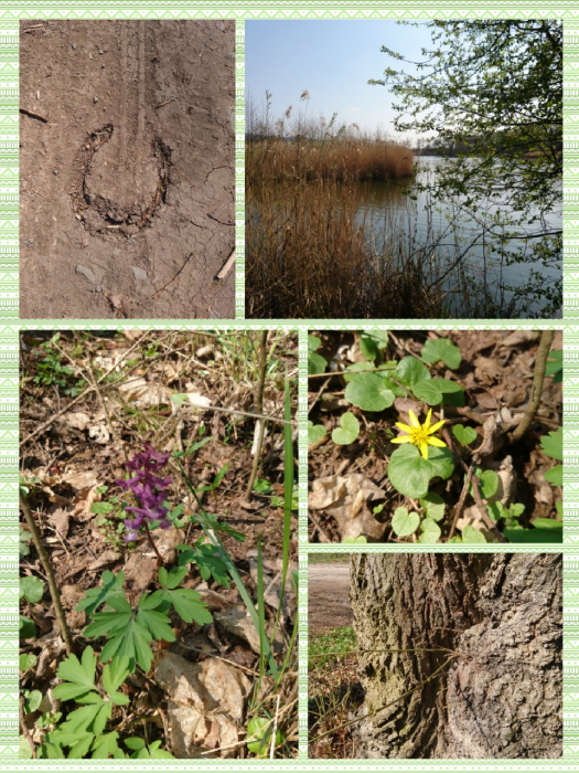 entdeckungen_natur.jpg entdeckungen_natur.jpg